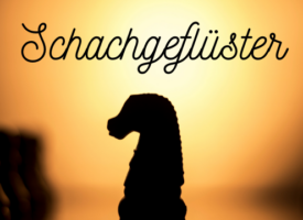 Weihnachtlicher Newsletter erschienen