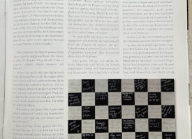 Shahade-Interview im Schachmagazin 64 erschienen