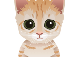 Hat eine Katze einen Schachboom verursacht?